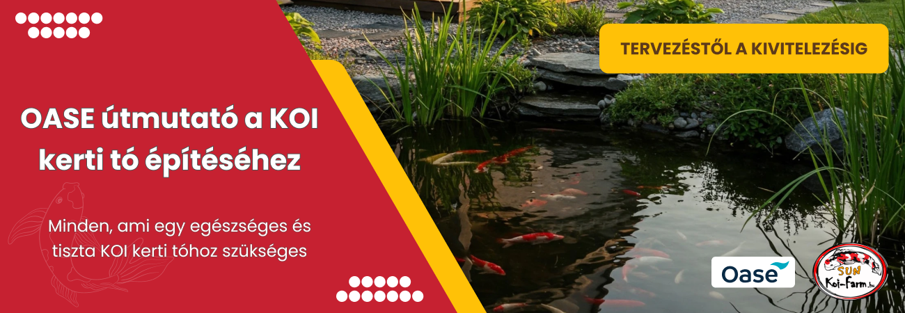 Oase útmutató a koi kerti tó építéshez