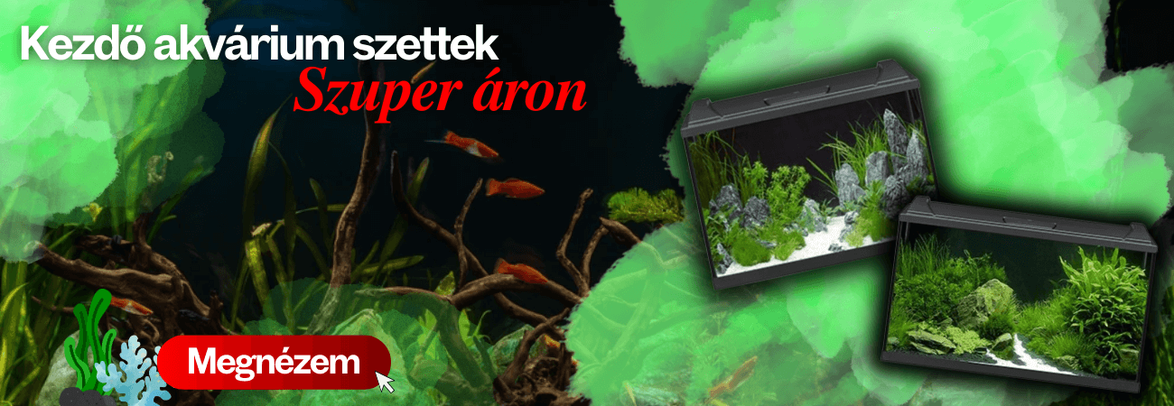 koi-farm.hu
