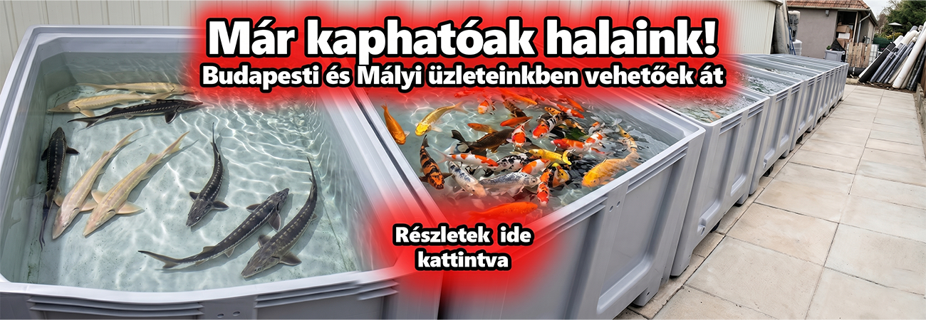 koi-farm.hu