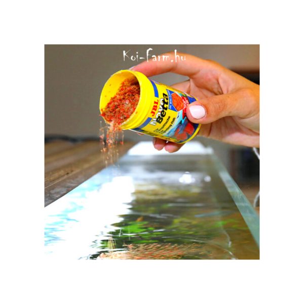 JBL NovoBetta - mini lemezes táp bettáknak