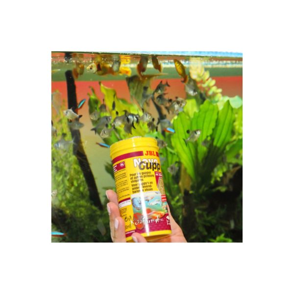JBL NovoGuppy 100 ml - guppi - elevenszülő hal eleség