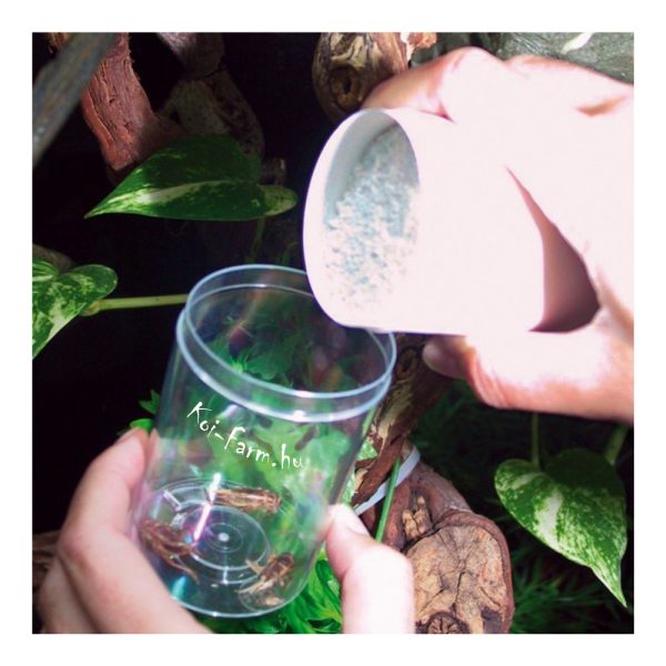 JBL microcalcium hüllők és kétéltűek számára 100g