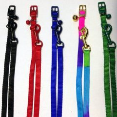 Színes textil póráz és nyakörv szett