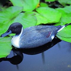 Dekor "nyílfarkú réce" hím, 50 cm, Ubbink