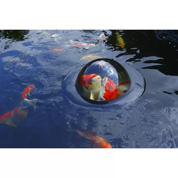 Úszó halmegfigyelő gömb (Koi-Dóm) D50 cm, Velda
