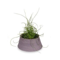 Velda Trendy Pond beltéri mini tó 30cm ibolya