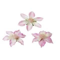 Dekor orchidea 7/9 cm rózsaszín Velda