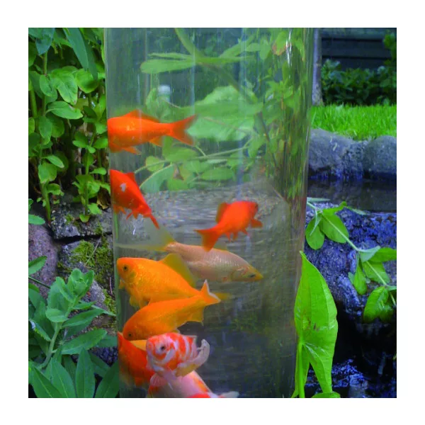 Ubbink Koi dóm, koi torony fish tower 100 - 100 x 20 úszó hal megfigyelő