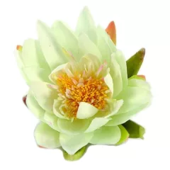 Tavirózsa selyem 16 cm krémszín Ubbink