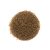 Coppens Wheat Germ 6.0 mm Koi eledel 15 kg