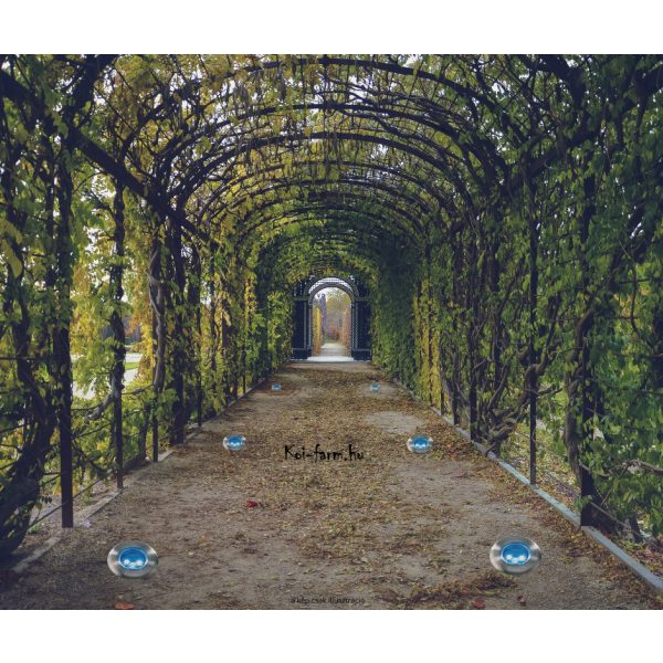 Garden Lights Astrum kék 1lm, 0,5W