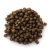 Coppens Top Koi 3.0 mm  Koi eledel/ kg