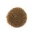 Coppens Wheat Germ 3.0 mm Koi eledel / kg