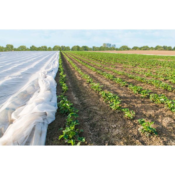 Fátyolfólia 17 g/m2 - 1,6 x 100 m - fehér