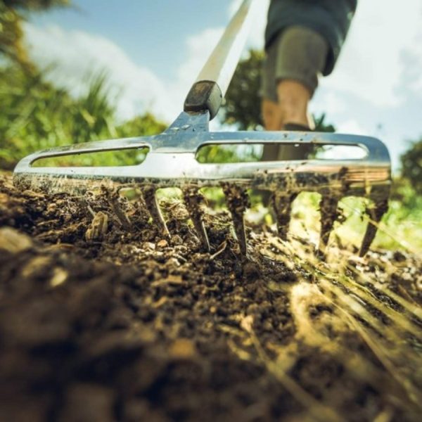 FISKARS Xact rózsagereblye S 230 mm