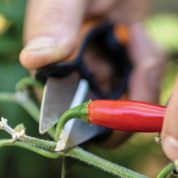 FISKARS Solid fűszernövényvágó olló SP220