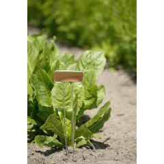 Jeltábla 6 db 26cm + filc (vörösréz) +filc (Nortene)