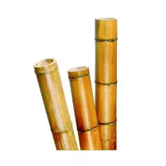 Bambuszoszlop 300cm, 50/60mm (SZEMÉLYES ÁT VÉTEL)