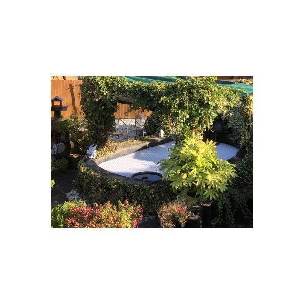 Tó takaró labda ovális Scrubberfill 50/38 mm (átlátszó)