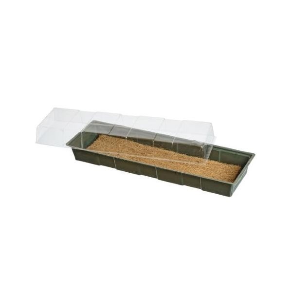Mini greenhouse kókuszrostból készült gyökereztető közeggel 10x49x15,5 cm