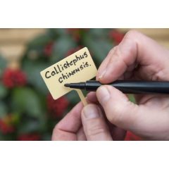 Jeltábla sárga, 3,5cm írófelület, 13 cm