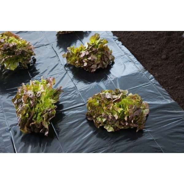 Fólia salátához fekete 1,40 x 10 m (Nature)