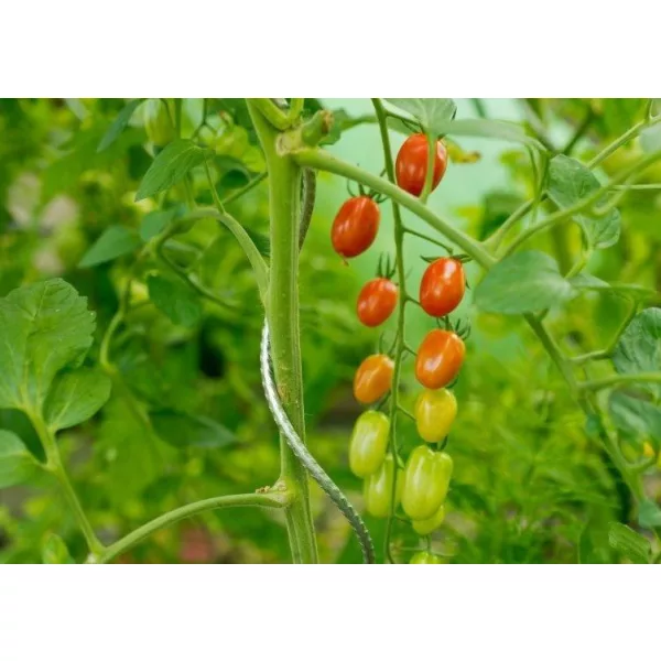 Spirál paradicsom- és virágtámasz 150cm galvanizált (Nature)