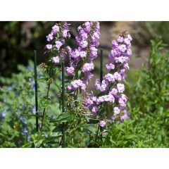 Műanyag virágtámasz 270 cm, 20mm