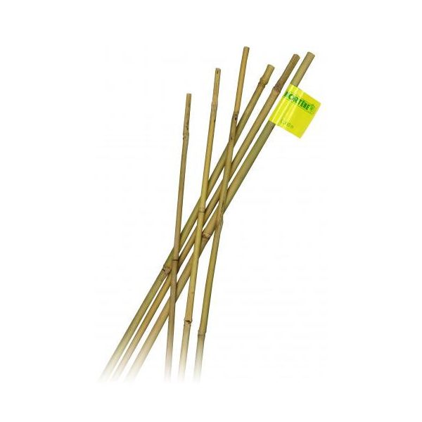 Bambusz rúd 10db 60cm natúr 6-8mm (Nature) KIFUTÓ TERMÉK - KÉSZLET EREJÉIG