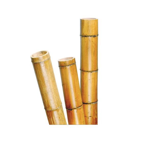 Bambusz oszlop vastag 300cm, átm.50-60 mm