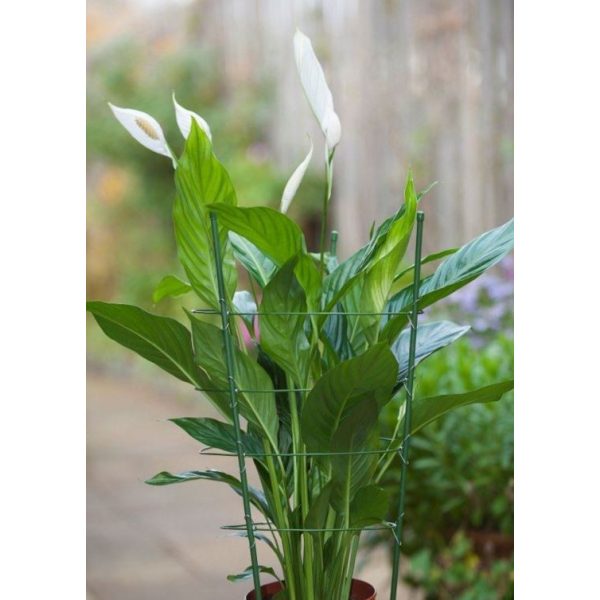 Műanyaggal bevont fém virágtámasz zöld 60cm (Nature)