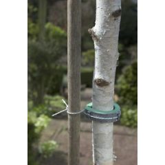 Lágy fatörzsrögzítő 30 cm, 2x (Nature)