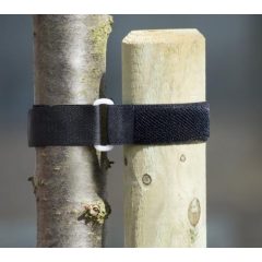 Fatörzsrögzítő csatos, 40 x 2,5 cm x2 (Nature)