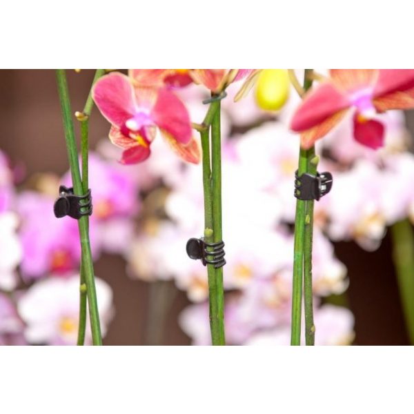Orchidea rögzítő csipesz 10db-os szett (Nature)