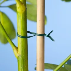 Kötöződrót vágószerkezettel 50m (Nature)