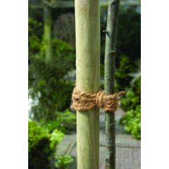 Kókusz kötöző 15 m (Nature)