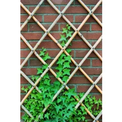 Bambusz rács ollós 70x180 cm (Nature)