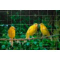 Quadrigal drótkerítés, galvanizált 13x13 mm, 0,5x5m