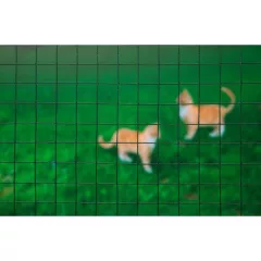 Drótkerítés,13mmx13mm, műanyag bevonattal,50cmx2,50m