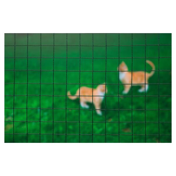 Drótkerítés, 25mmx25mm, műanyag bevonattal, 50cmx2,50m