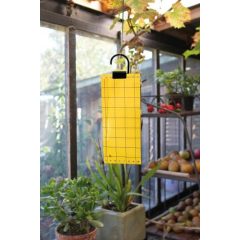 Légyfogó papír 5db-os (Nature)