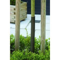   Fatörzsvédő rugalmas mü.a.burkoló 55 cm x 6 cm 4 db (Nature)