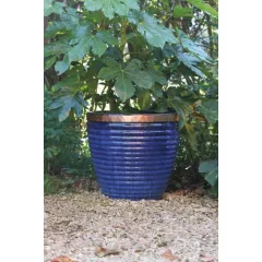 Csigariasztó szalag 4mx30mm (Nature)