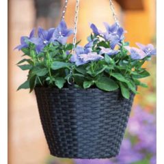 DEVON virágtartó függőkosár fekete 19 x D25cm (Nature)