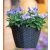 DEVON virágtartó függőkosár fekete 19 x D25cm (Nature)