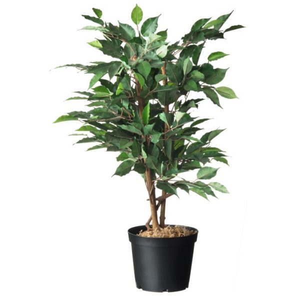 Konténer fekete 5L 18 x D22,5 cm 2db-os szett (Nature)