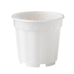 Növénytartály átlátszó átm. 13cm /18db/karton