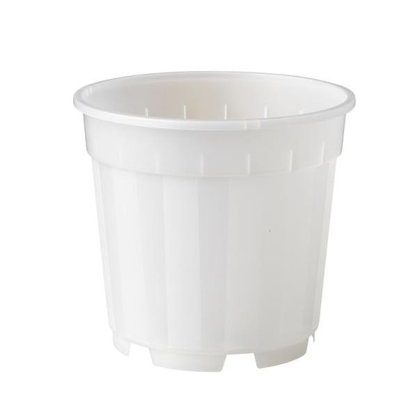 Növénytartály átlátszó átm. 13cm /18db/karton