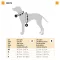 Ferplast Nikita p xs puppy heveder