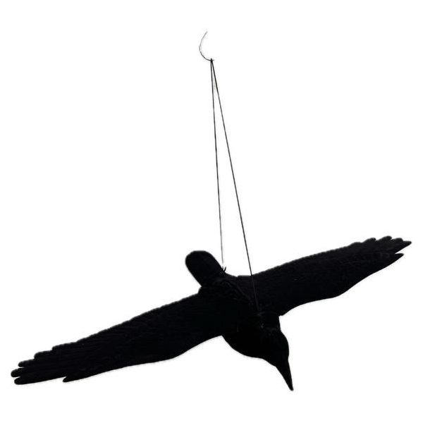 Velda Kitárt szárnyú varjú plüss/flokkolt 80*11*46 cm S002